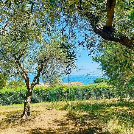 Villa In Collina Vista Mare Roseto Degli Abruzzi Eksteriør bilde