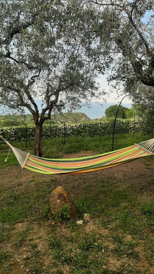 Villa In Collina Vista Mare Roseto Degli Abruzzi Eksteriør bilde