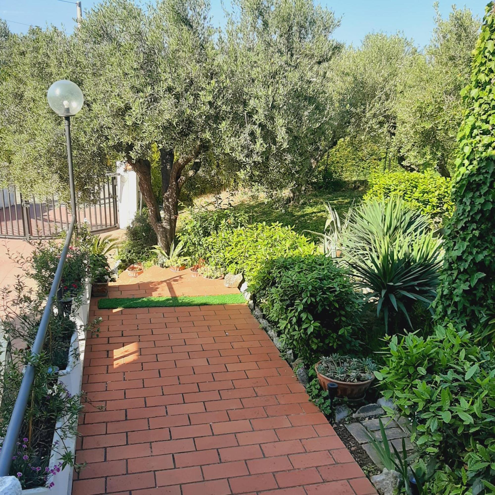 Villa In Collina Vista Mare Roseto Degli Abruzzi Eksteriør bilde