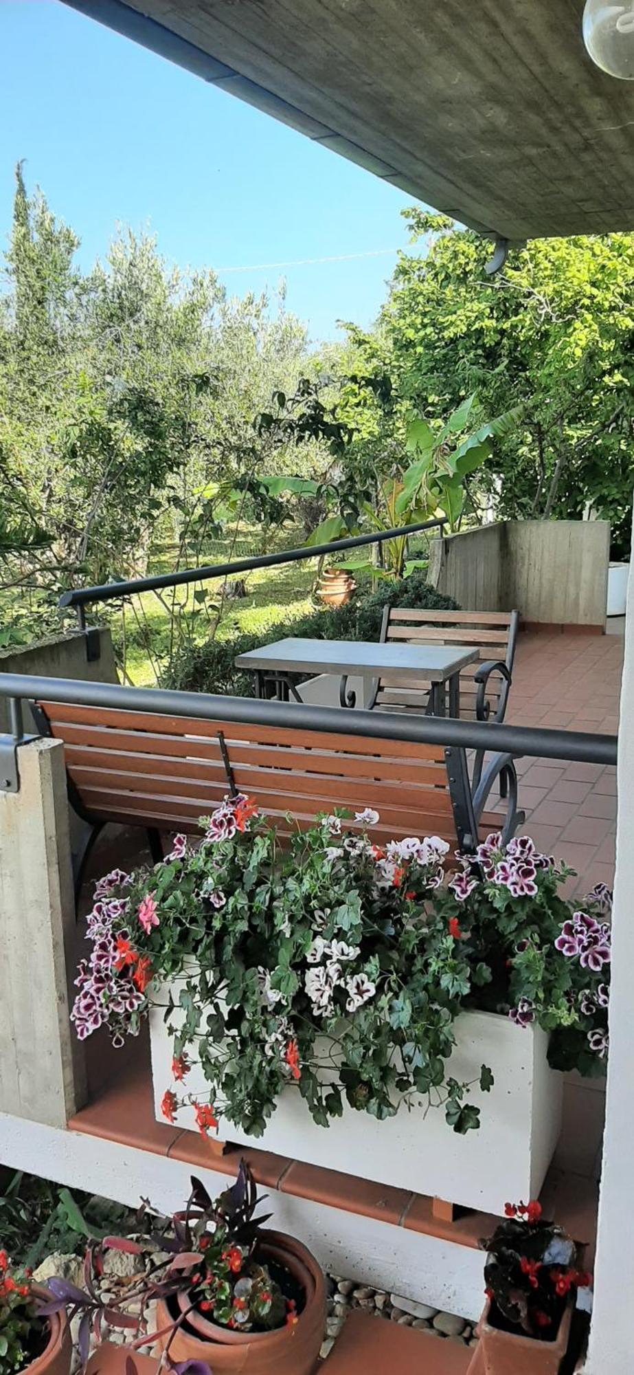 Villa In Collina Vista Mare Roseto Degli Abruzzi Eksteriør bilde